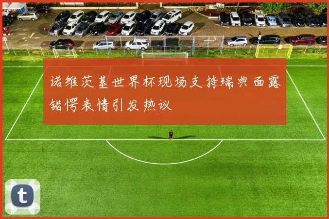诺维茨基世界杯现场支持瑞典面露错愕表情引发热议