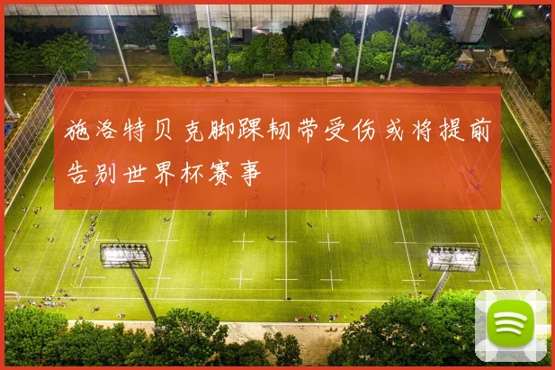 施洛特贝克脚踝韧带受伤或将提前告别世界杯赛事