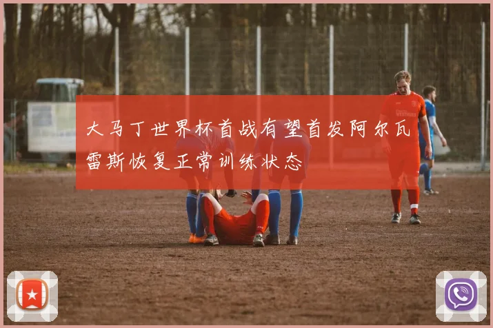 大马丁世界杯首战有望首发阿尔瓦雷斯恢复正常训练状态