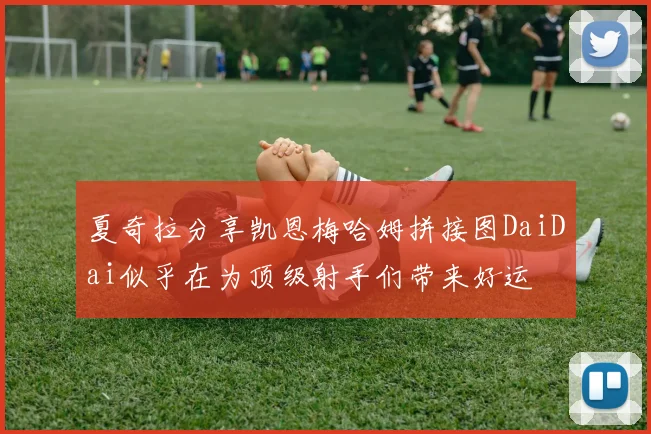 夏奇拉分享凯恩梅哈姆拼接图DaiDai似乎在为顶级射手们带来好运